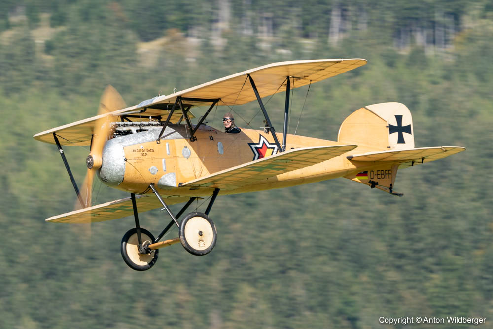 Albatros D-III